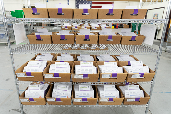 VOTE 2026: A brief guide to pro and con for the bevy of statewide ballot questions