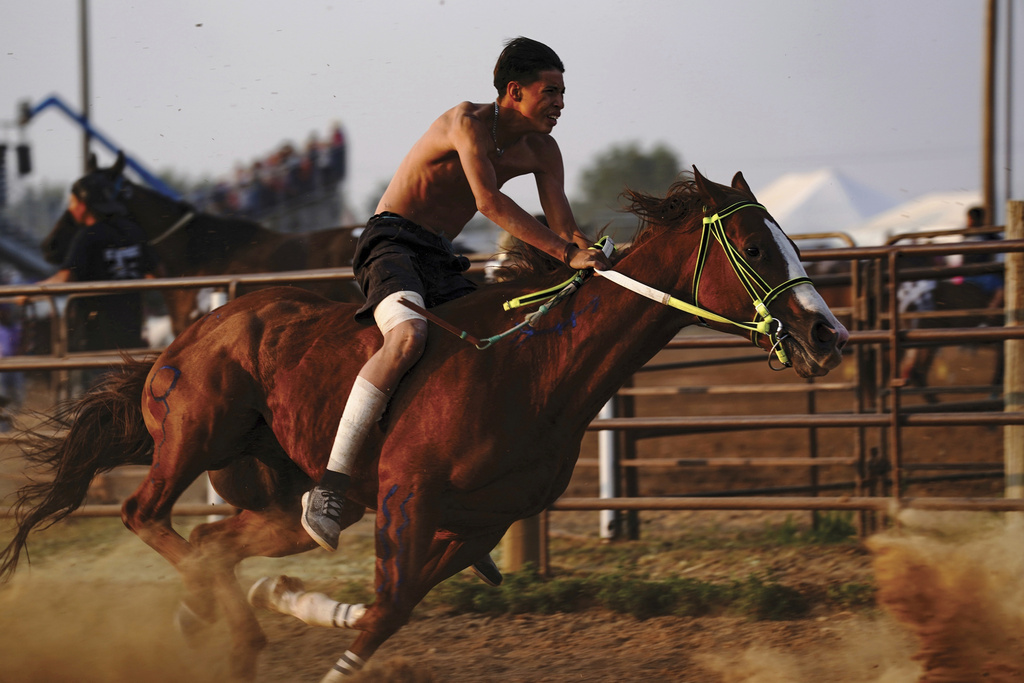 A lifestyle and enduring relationship with horses lends to the ...
